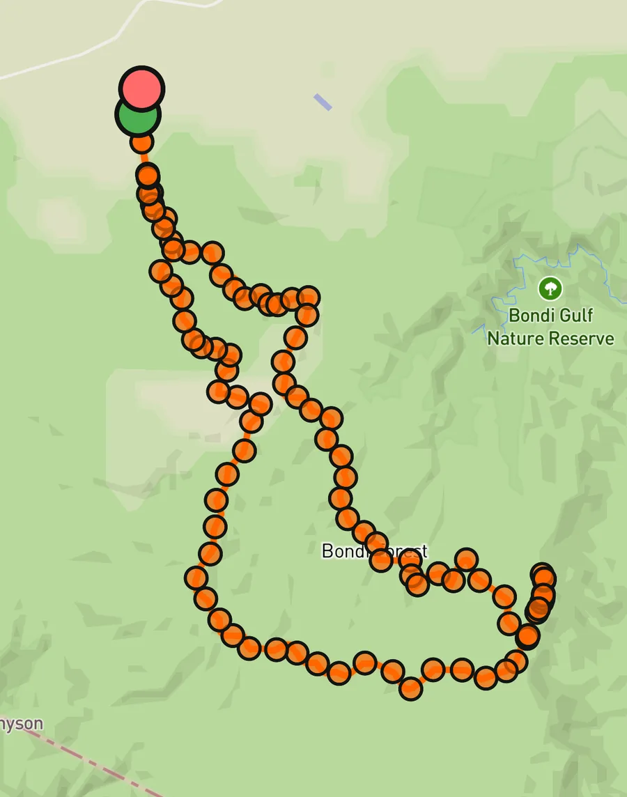 GPS breadcrumb track recorded through state forest